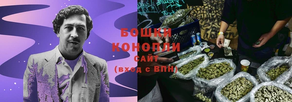 скорость Вяземский