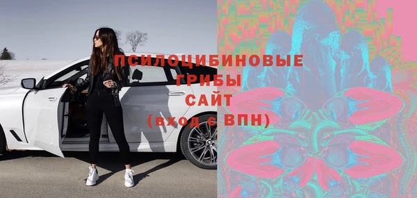 прущая мука Тында